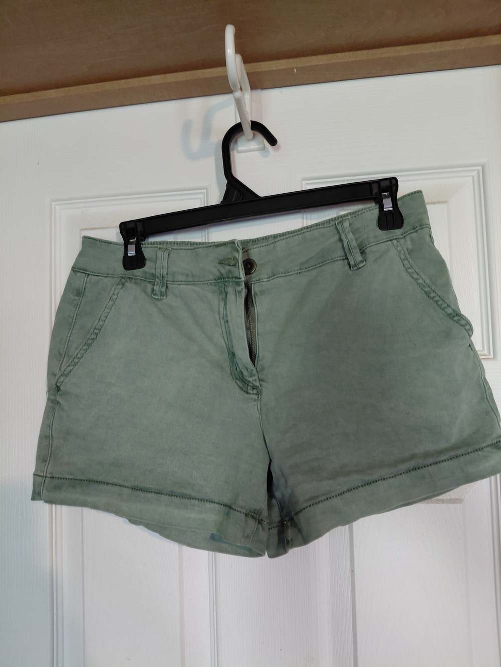 Land N SEA Casual Sage Green Chino Shorts